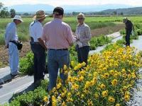 Power Botanizing in Kansas, Oklahoma and&nbsp;Texas